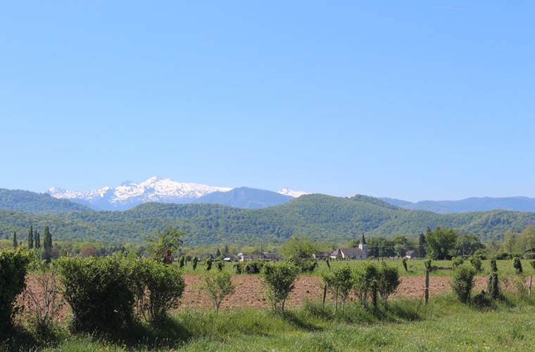 Saint-Pée
