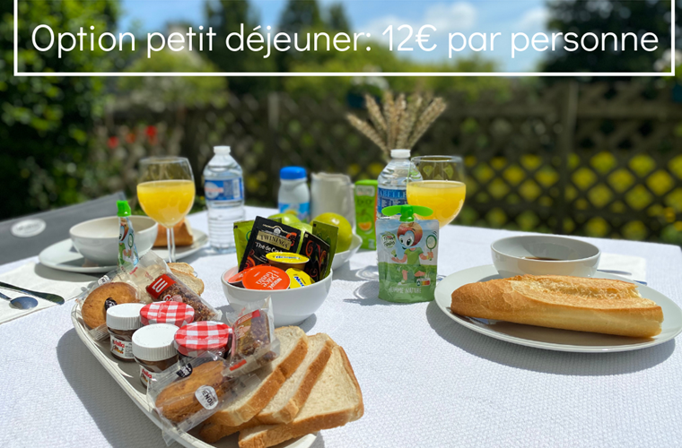 petit dejeuner_jardin_vacance_mer_finistere_pas cher_le relecq kerhuon_chien_evea garden_location