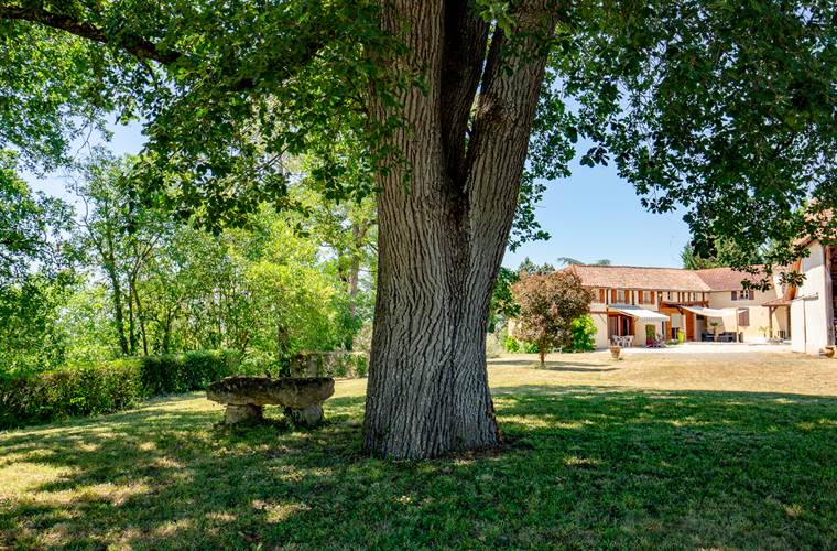 Le jardin arboré dispose de nombreux coin pour s'installer et profiter du calme