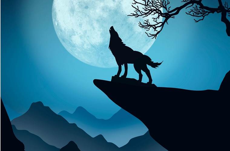 Loup garou libre de droit