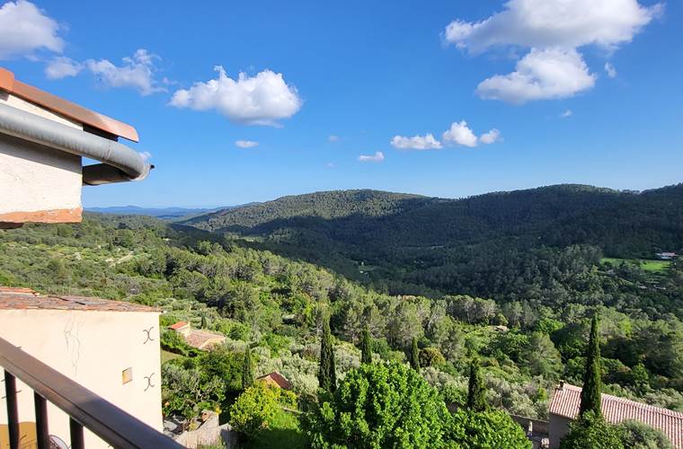 La Suite Natura - Vue terrasse
