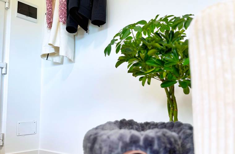 studio-le-lodge-entree-cosy-details-accueil.jpg