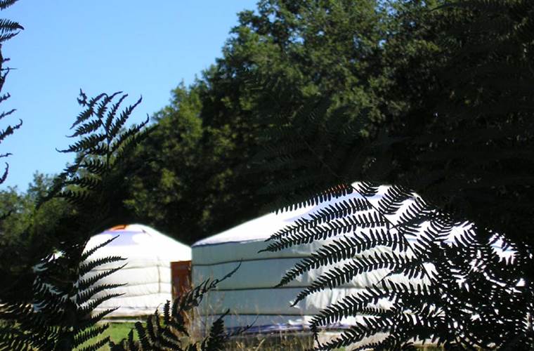 le campement de yourtes