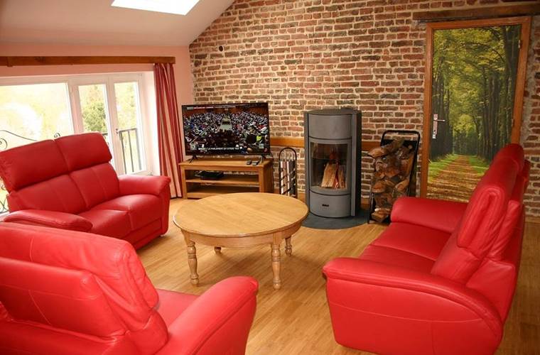 Salon avec TV et feu ouvert