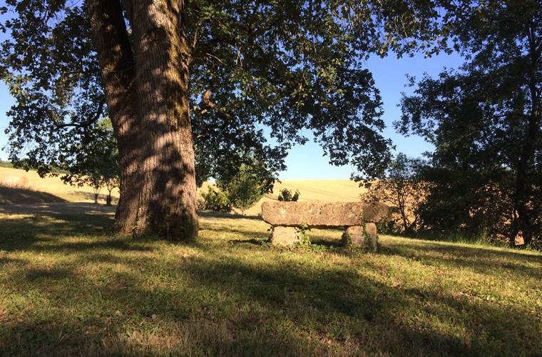 Jardin arboré, avec notamment un magnifique chêne de plusieurs centaines d'années