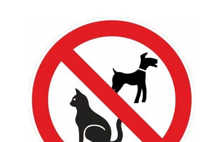 animaux non autorisés