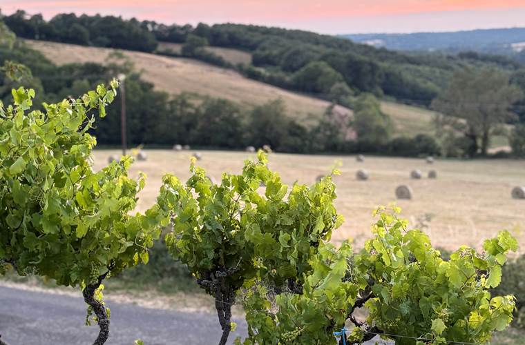 gite-aveyron-parc-animalier-saint-hubert-occitanie
