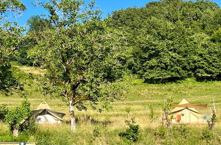 Vue sur les tentes équipées - Noix et Châtaigne