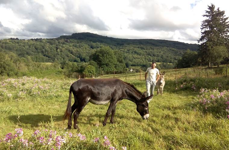 paysage limousin