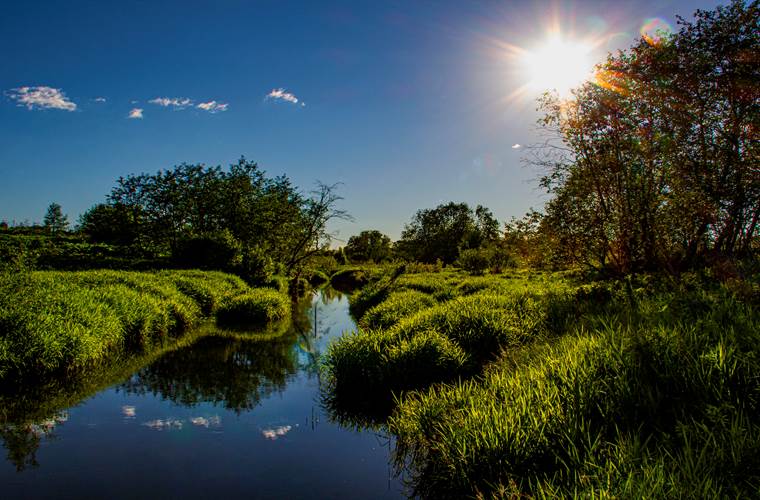 Paysage Limousin