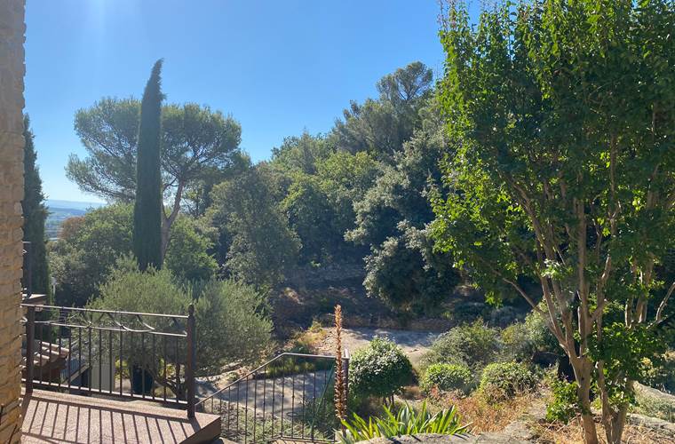 jardin-4