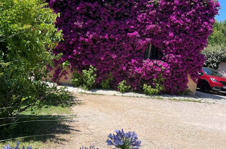 places voitures au 59