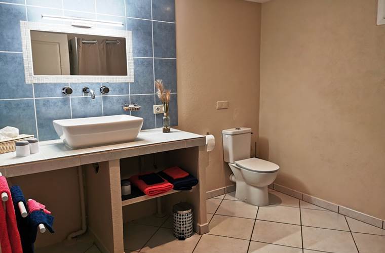 La salle d'eau, coin toilettes