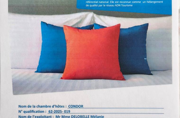 chr condor