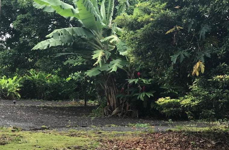 Gite_Rural_Flane_Capesterre_Belle_Eau_Guadeloupe_vacances