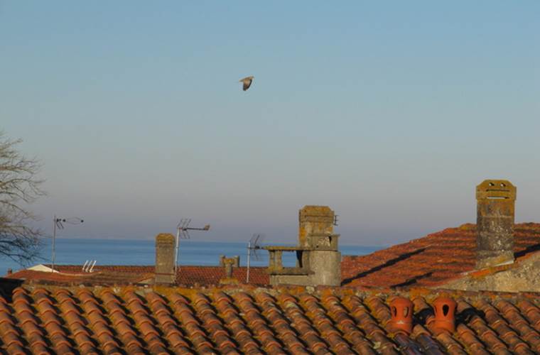 Vue depuis caravelle