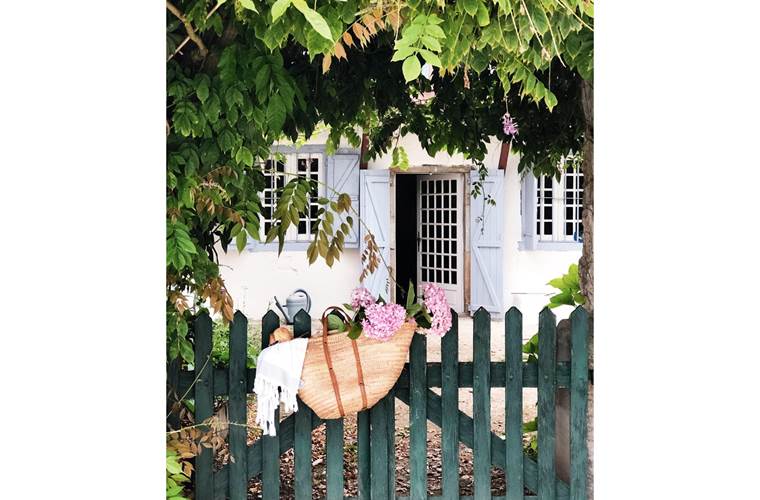 Panier du marché