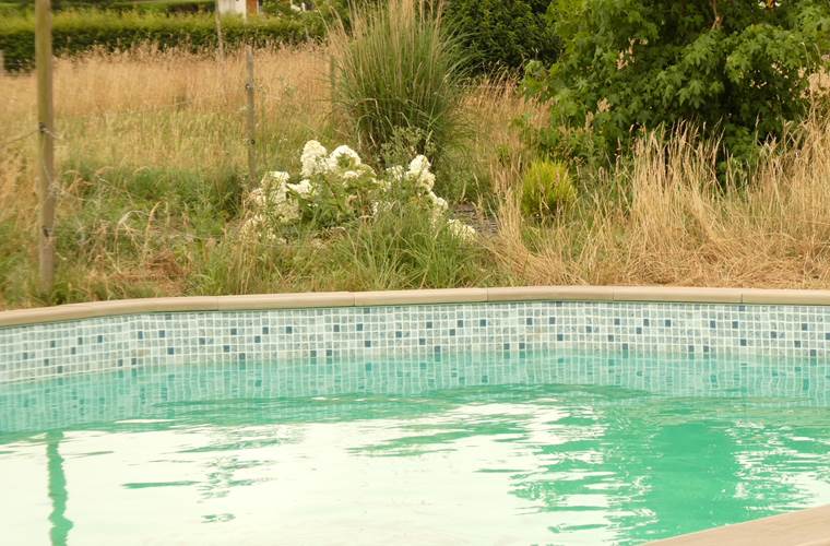 Piscine chauffée (6.5x4.5) et jardin en cours de finition