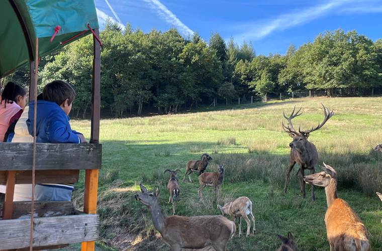 visite-guidee-parc-animalier-animaux-aveyron-occitanie-gages