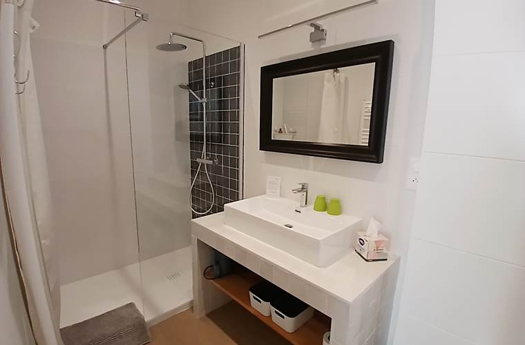 Salle d'eau  particulière de belle taille ,  5 m2, avec une douche à l'italienne et des toilettes.