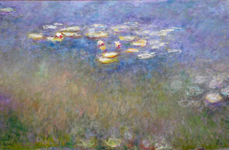 water-lilies-agapanthus