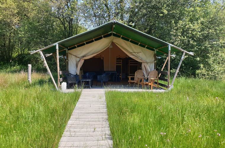 t4 l herbe haute