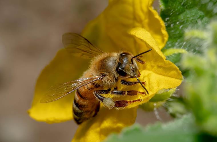 Un environnement préservé