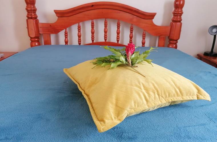 Gite_Rural_Flane_Capesterre_Belle_Eau_Guadeloupe_vacances