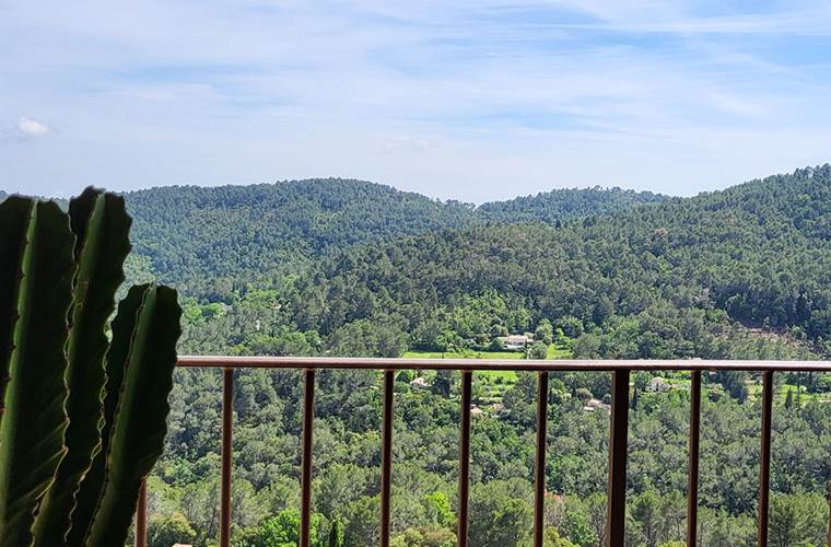 La Suite Natura - Vue terrasse