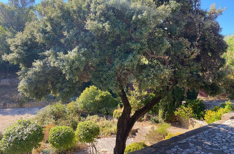 jardin-5