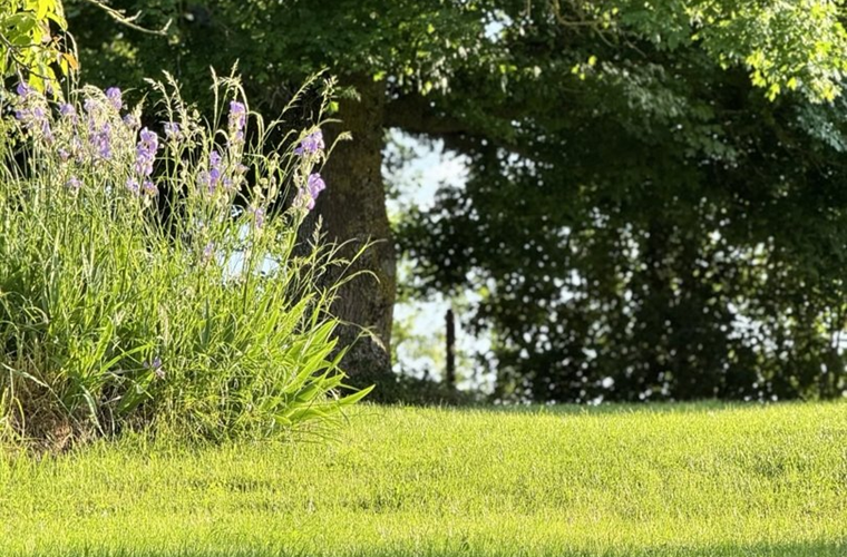 jardin-ensoleille-gite-location-lauragaise