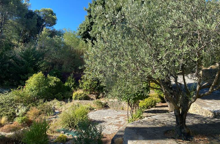 jardin-1