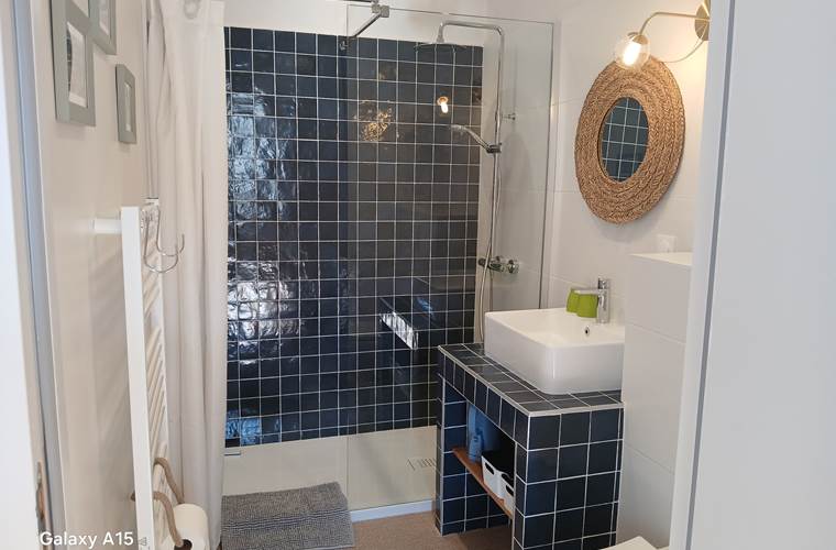 Salle d'eau particulière, avec une douche à l'italienne et des toilettes.