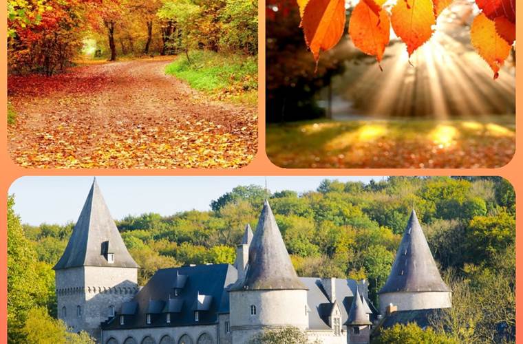 photo octobre 2023