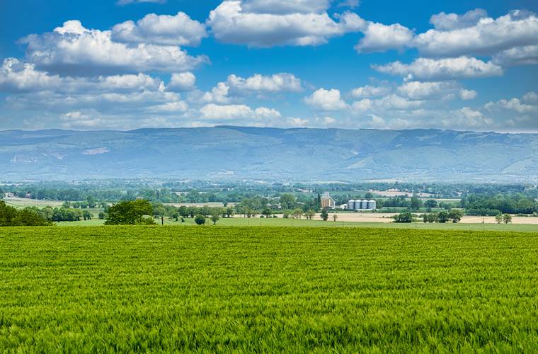 studio-le-lodge-vue-montagne-noire-campagne-lauragaise.jpg