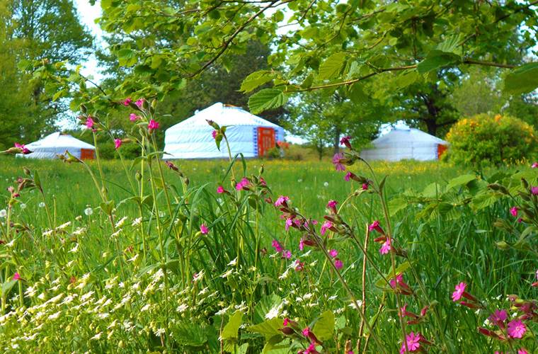 la prairie des yourtes au printemps