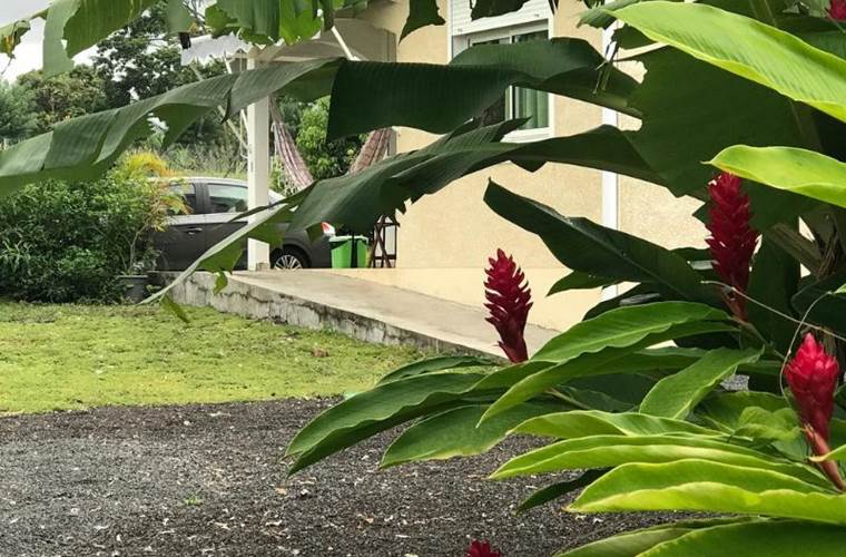 Gite_Rural_Flane_Capesterre_Belle_Eau_Guadeloupe_vacances