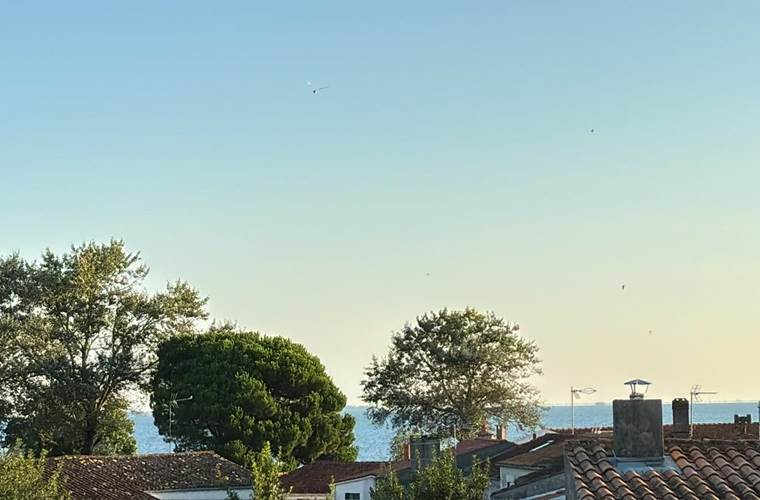 Vue depuis la chambre Sinagot