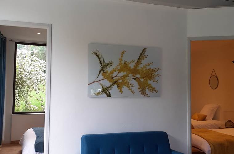 salon Mimosa