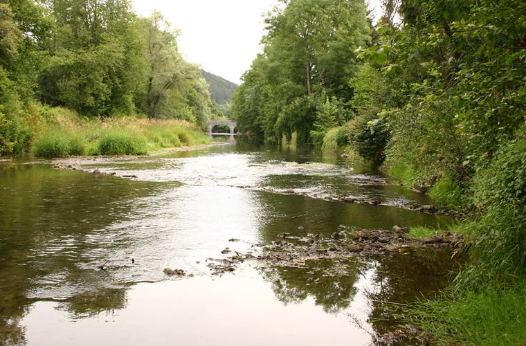 La rivière "Le Viroin" au fond du jardin