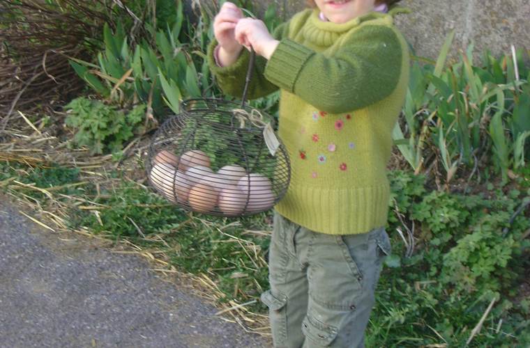 chercher les oeufs