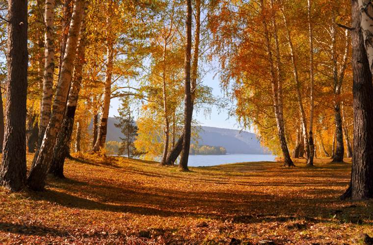 vassivière en automne