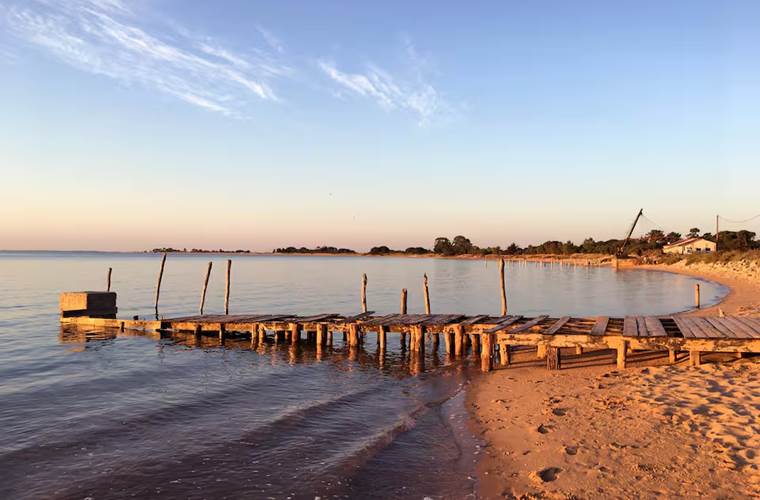 La Bergeronnette - ile d'oleron
