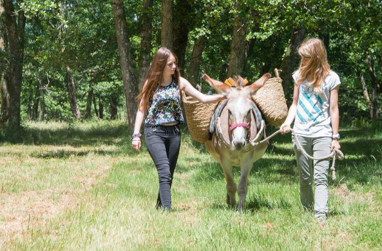 venez découvrir les ânes de la ferme