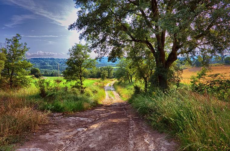 Paysage Limousin