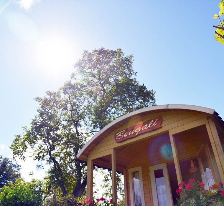 Insolites Chimay Bengali 02