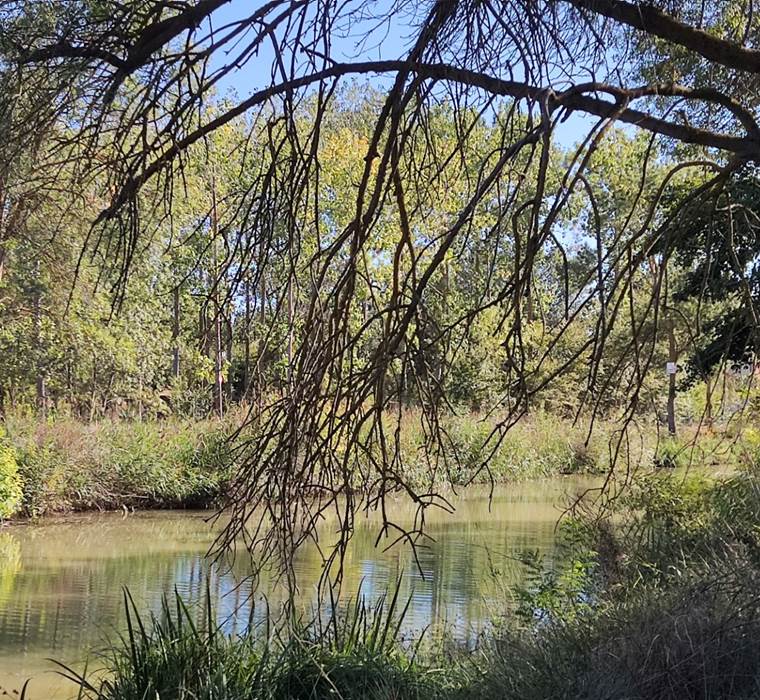 Le long du Canal du Midi