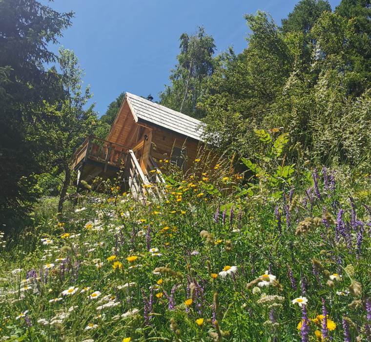 Les cabanes du domaine de l'Esperluette - Cabane Le Jas du Chamois 13