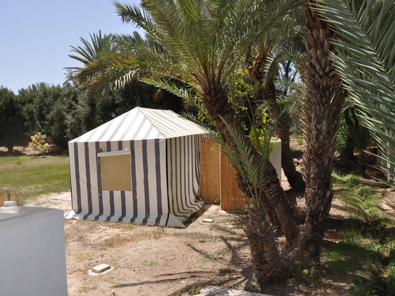 Bivouac Tiznit - Tente caîdale et sanitaire plein air - Palmiers et roseaux