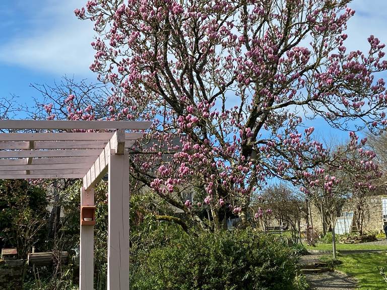 tempImageH1HtoJ-gallery